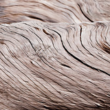 Driftwood Waves II