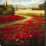 Red Poppy Trail