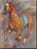 Stellar Steed