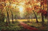 A Beautiful Walk in the Fall