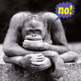 No!