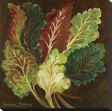 Red Chard