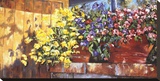 Wall Flowers