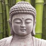 Meditation