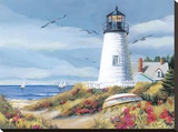 Lighthouse Harbor I