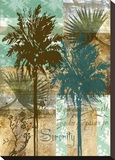 Palm I