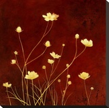 Flores en el Campo I