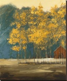 Blue Sage Valley