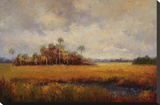 Oasis in the Fall
