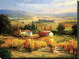 Hazy Tuscan Farm