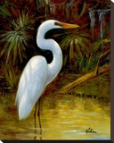 Tropical Egret I