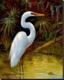 Tropical Egret I