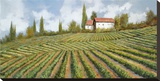Di Collina