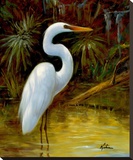 Tropical Egret I