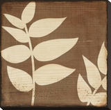 Perfect Harmony  no 11