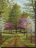 Dogwood Lane