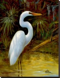 Tropical Egret I