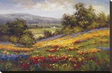 Campo di Fiore I