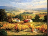Hazy Tuscan Farm