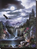 Moonlit Eagle