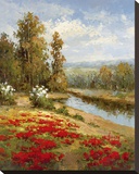 Poppy Vista I