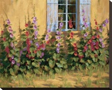 Blue Shutters