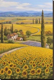 Sunflower Field