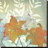 Lily Textures