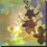Orchid Shadows III