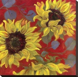Sunflower II