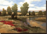 Warm Spring I