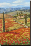 Red Poppy Field