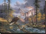 Eagles Perch