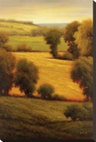 Ambre Valley