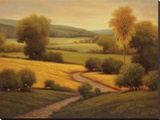 Ambre Knoll