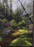 Spring Woods
