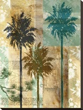 Palm II
