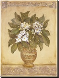 Tropical Flower I