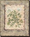 Vintage Herbs  Parsley