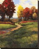 Late Noon Path II