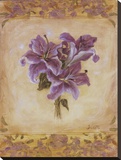 Lily Violeta