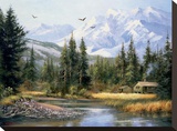 Cabin in the Foothills