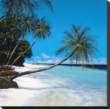 Tropical Paradise I