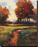 Late Noon Path I