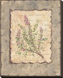 Vintage Herbs  Thyme