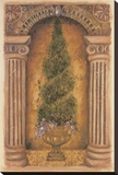 Cypress Niche