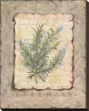 Vintage Herbs  Rosemary
