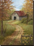 Roadside Barn
