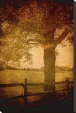 Days Gone By