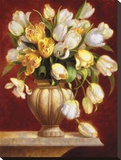 Tulip Majesty